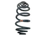 Rear coil spring