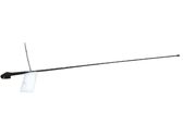 Radion antenni