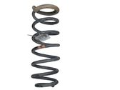 Rear coil spring