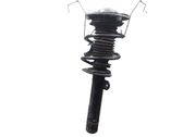 Front shock absorber/damper