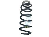 Rear coil spring
