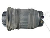 Rear shock absorber/damper