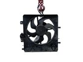 Electric radiator cooling fan