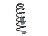 Rear coil spring