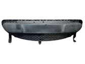 Front bumper lower grill