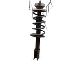 Front shock absorber/damper