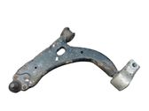 Front lower control arm/wishbone