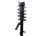 Front shock absorber/damper