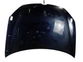 Engine bonnet/hood