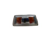 Front fender indicator light