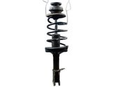 Front shock absorber/damper