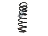 Rear coil spring