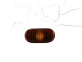 Front fender indicator light