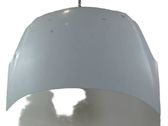 Engine bonnet/hood