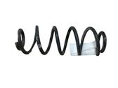Muelle espiral trasero