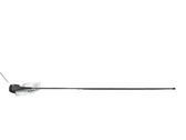 Radion antenni