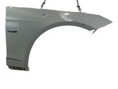Guardabarro