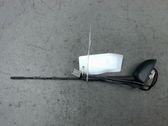 Radion antenni