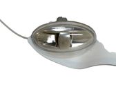 Seitenblinker