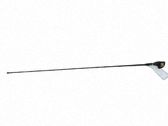 Radion antenni