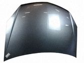 Engine bonnet/hood