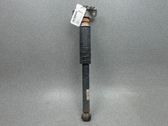 Stoßdämpfer hinten