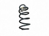 Muelle espiral trasero