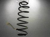 Rear coil spring
