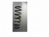 Rear coil spring