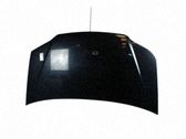 Motorhaube