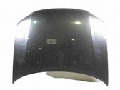 Motorhaube