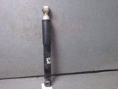 Rear shock absorber/damper
