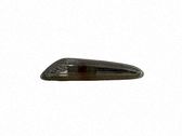 Front fender indicator light