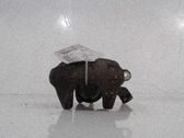 Takajarrusatula