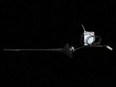 Radion antenni