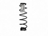 Rear coil spring