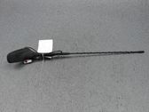 Radion antenni