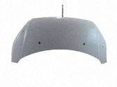 Engine bonnet/hood