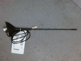 Radion antenni