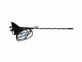 Radion antenni