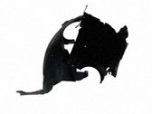 Revestimientos de la aleta antisalpicaduras delanteros