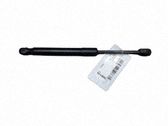 Front bonnet/hood damper/strut