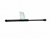 Tailgate/trunk strut/damper