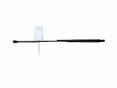 Tailgate/trunk strut/damper