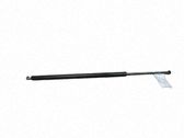 Tailgate/trunk strut/damper