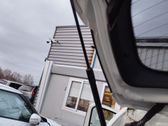 Tailgate/trunk strut/damper