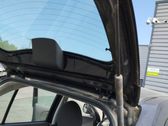 Tailgate/trunk strut/damper