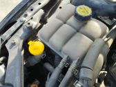 Coolant expansion tank/reservoir cap