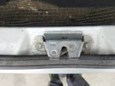 Tailgate/trunk/boot lock/catch/latch
