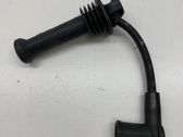 Ignition plug leads
